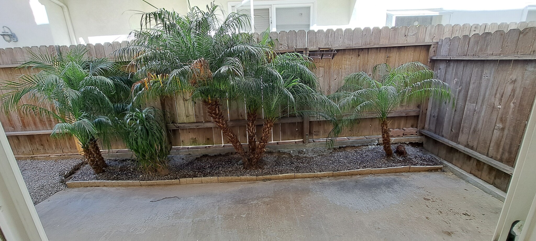 Rear Patio - 314 20th St