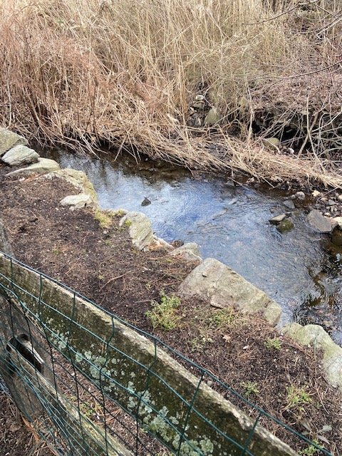 Building Photo - 20 Janet Cir