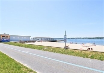 beach - 51 Willard St
