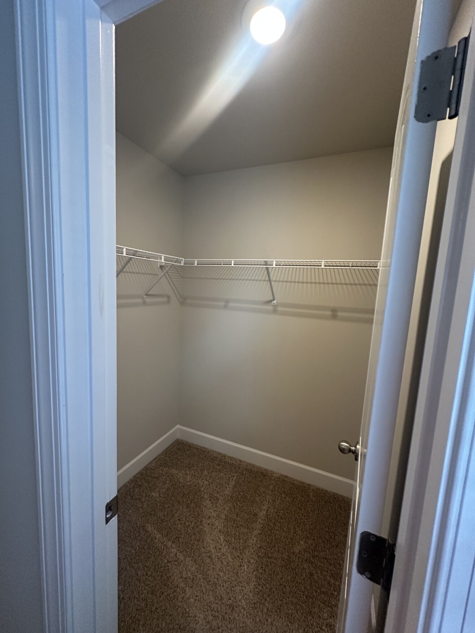 Building Photo - 5448 Pisano St