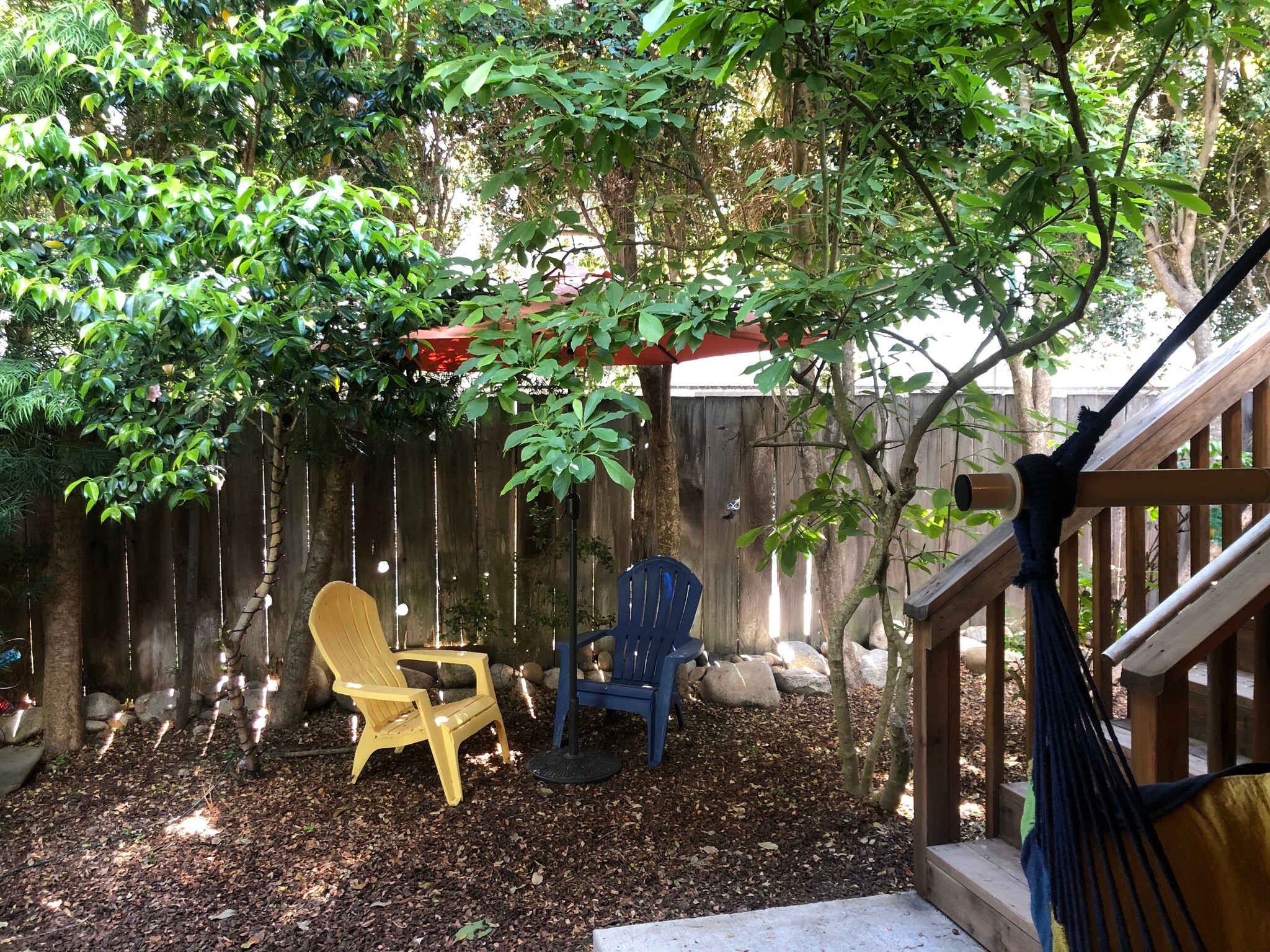 backyard - 135 Bixby St