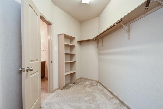 Building Photo - 110 Sweet Leaf Grove Ln