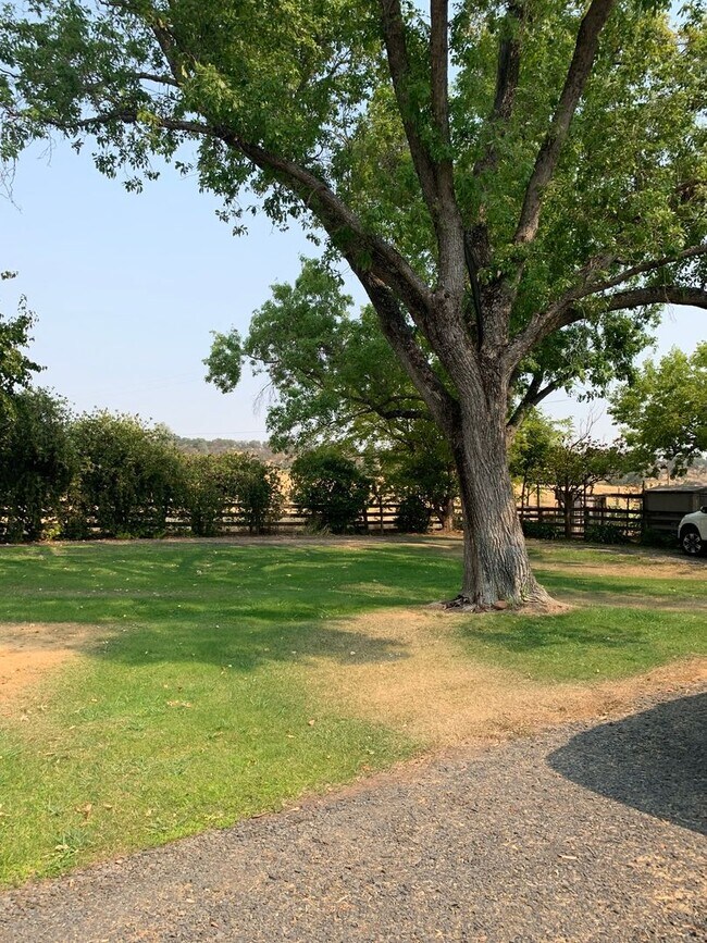 Building Photo - Butte Valley 3 bed 2 bath home, Privacy, n...