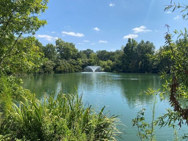 Building Photo - 4 Bedroom South Charlotte Home!