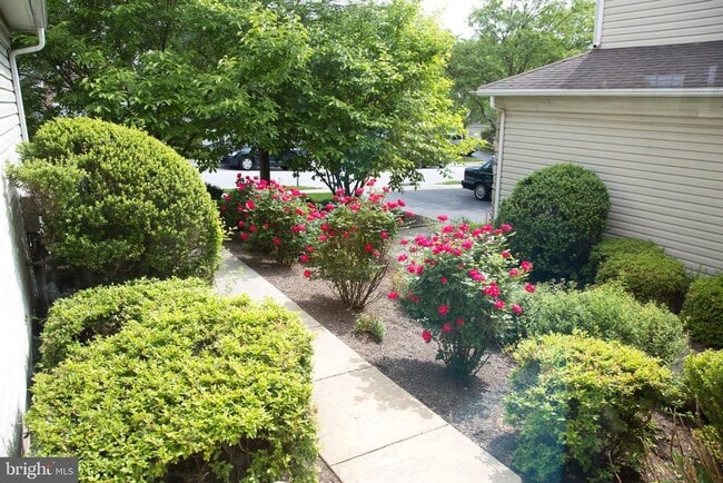 Building Photo - 211 Silverbell Ct