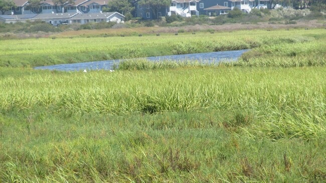 Building Photo - At the Beach