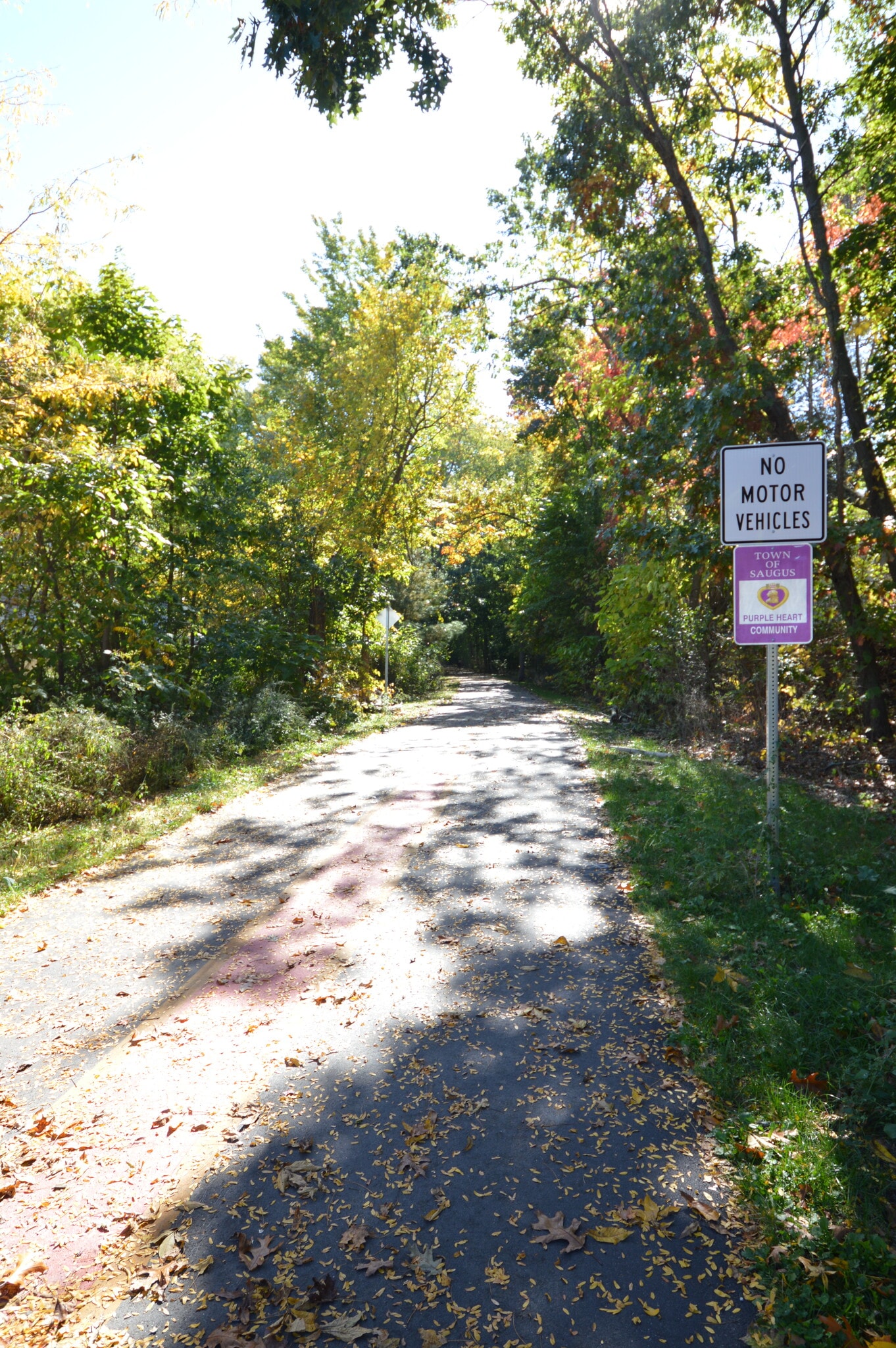 Building Photo - 18 Austin Ct