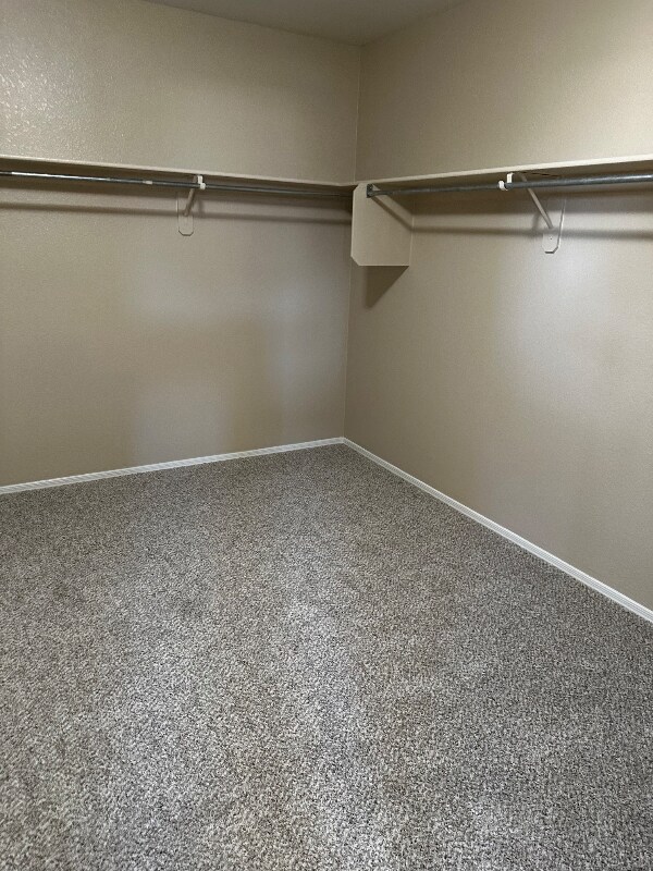 Primary Photo - 7362 S MESSALA Ct