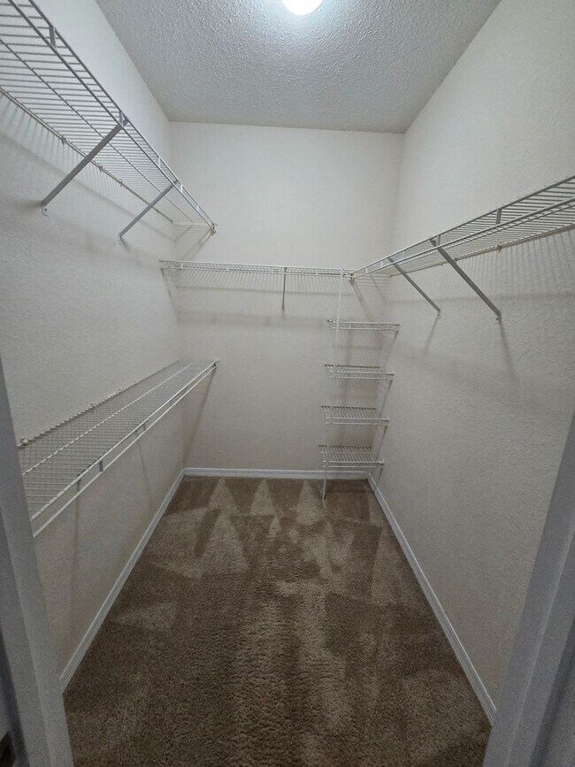 Building Photo - 2 bedroom, 2 bath For Rent Tampa Palms Area!