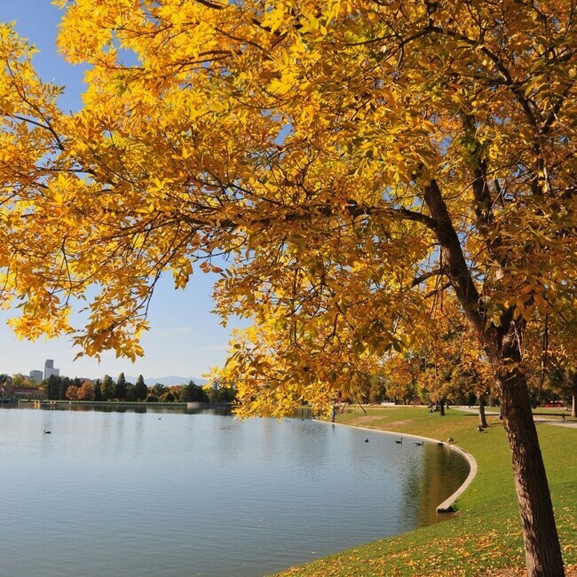 Wash Park in Fall - 400 S Lafayette St