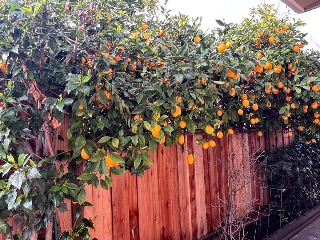 Building Photo - 801 Betlin Ave