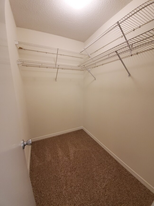 Building Photo - 186 Redfish Cir