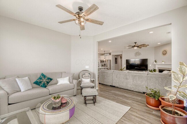 Building Photo - 1585 Nettle Ct