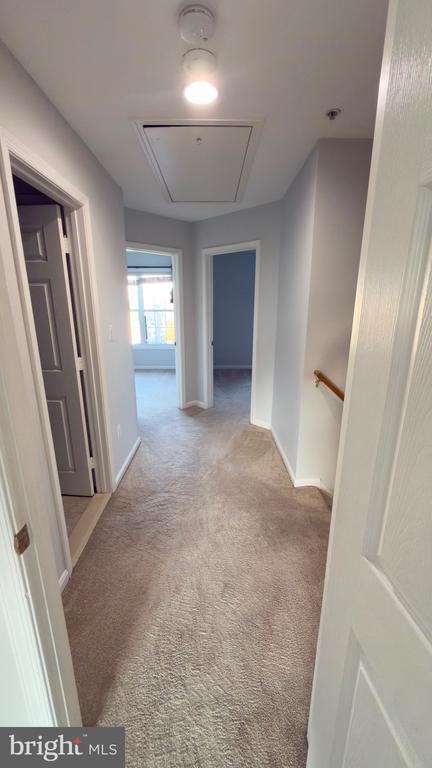 Building Photo - 3381 Sonia Trail