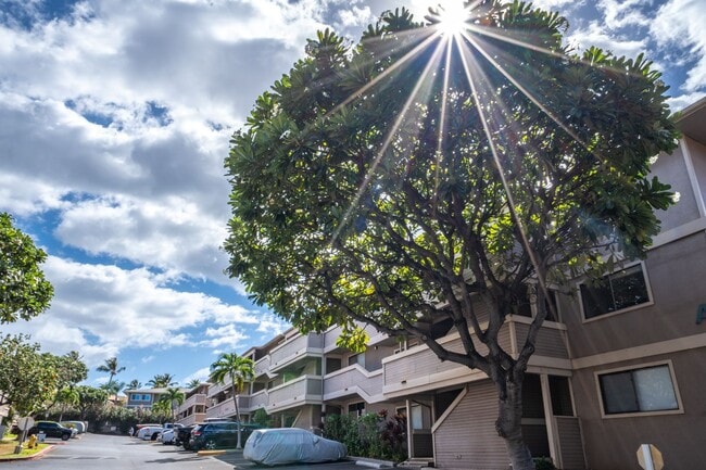 Building Photo - Furnished Condo at Kihei Shores, 2 Bed / 2...