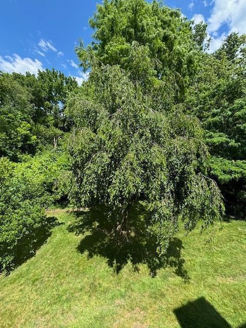 Building Photo - 1860 W Liberty St