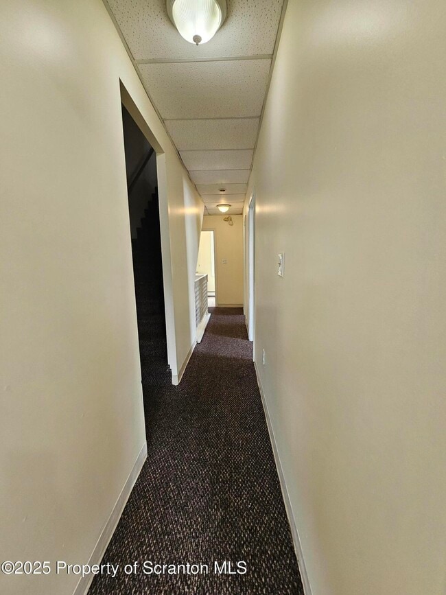 Building Photo - 1207 Mulberry St