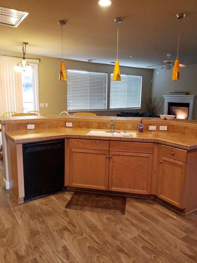 Building Photo - North Natomas Executive Home-Large One Sto...