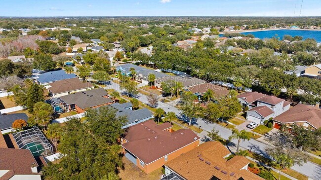 Building Photo - 11709 Holly Creek Dr