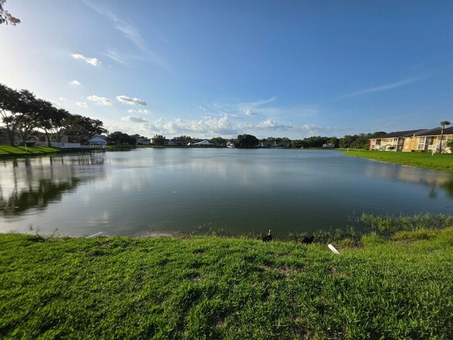 Building Photo - One Bed - One Bath - Water Front - First F...