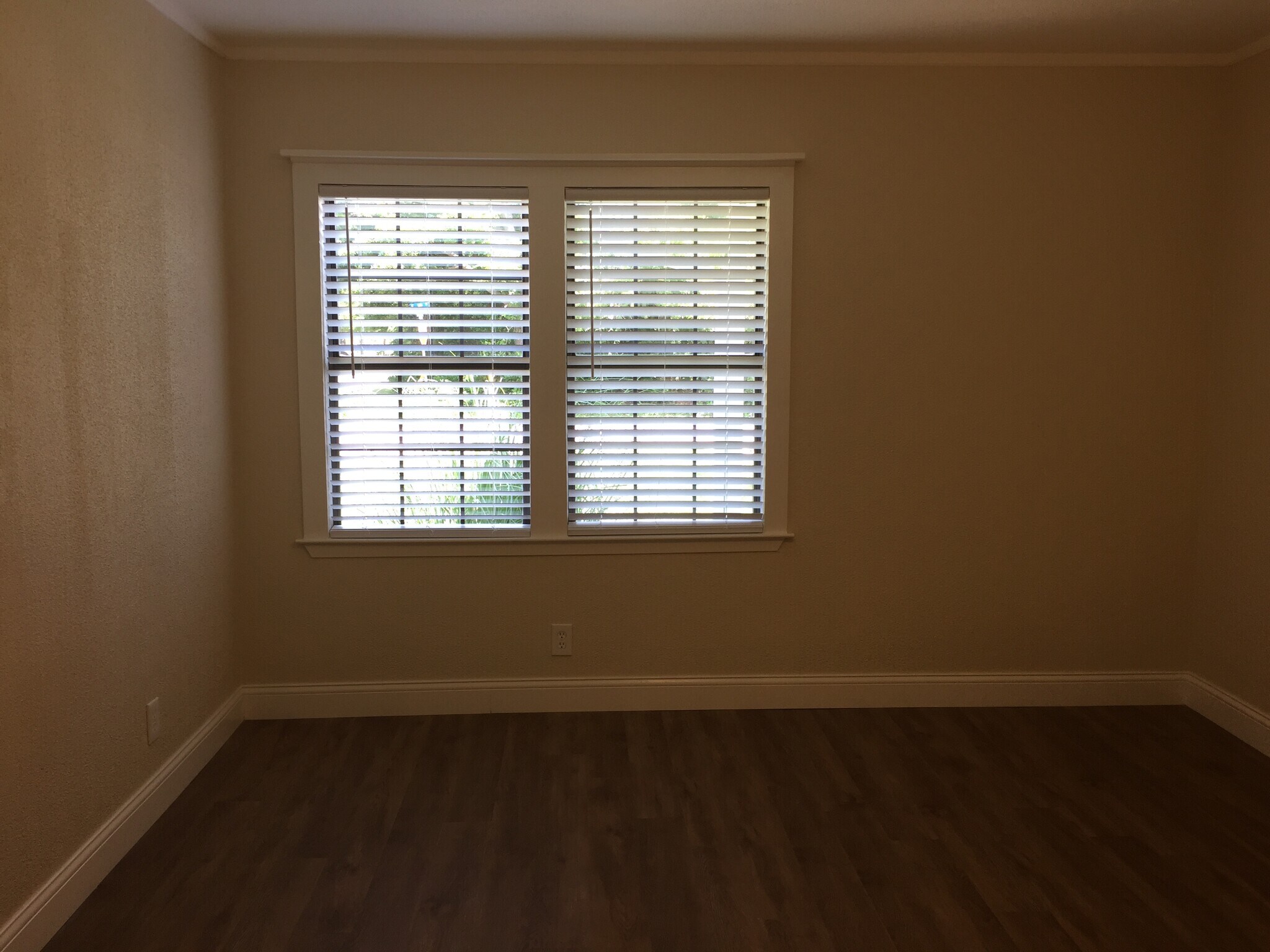 Master bedroom- windows face front yard - 310 East 3rd St.