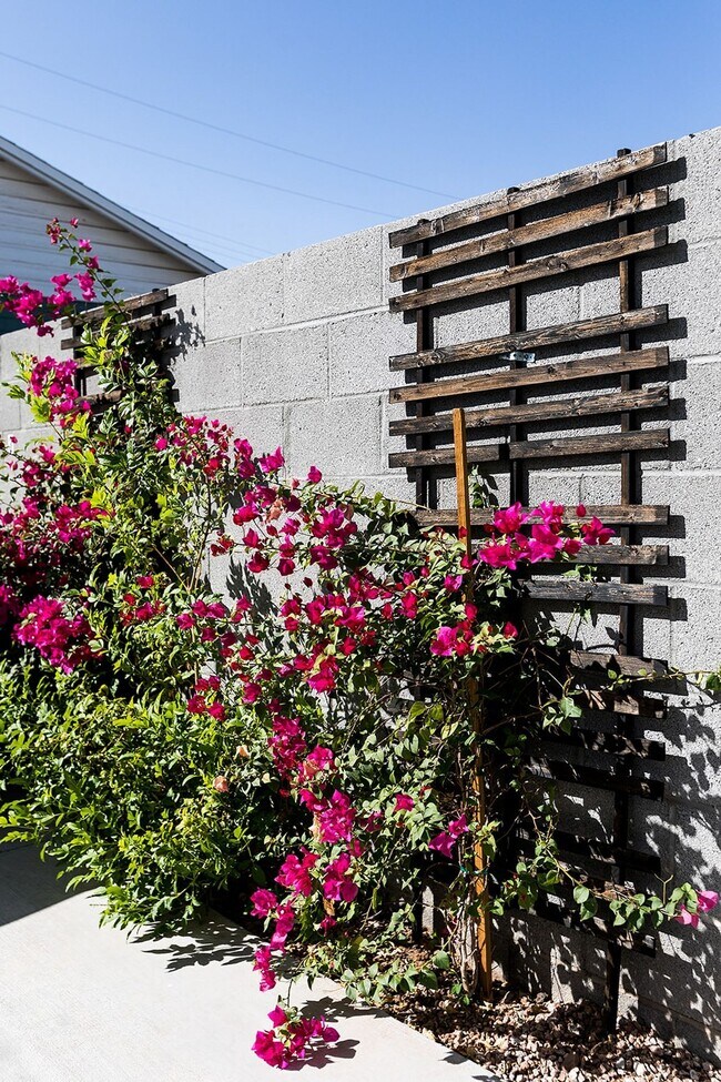 Building Photo - 1 Bed | 1 Bath -  Bungalow Style Unit