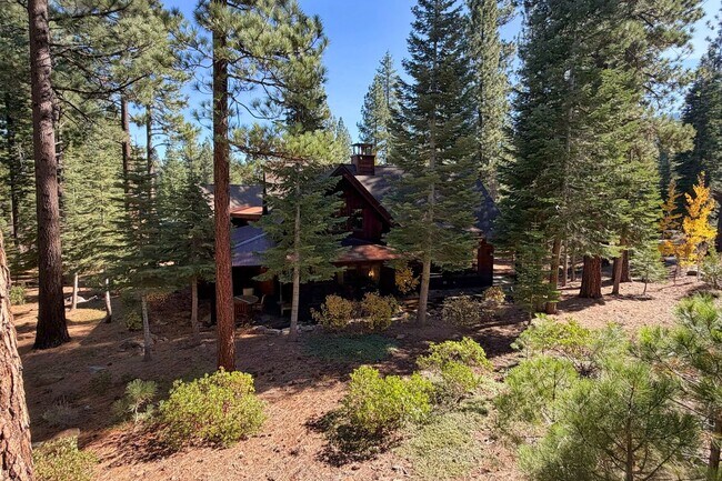 Building Photo - Luxury Lahontan Rental – Serene Forest Set...