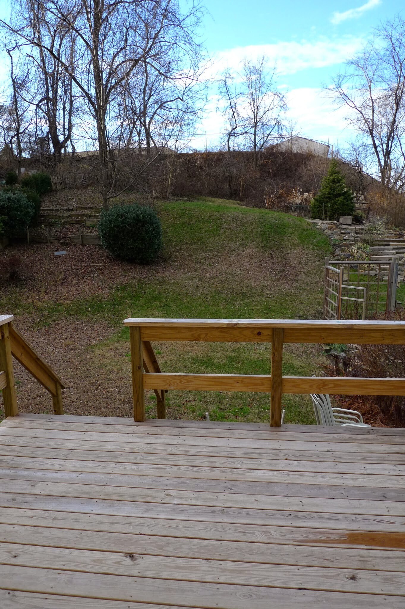 Empty Deck/yard - 555 Coventry Lane
