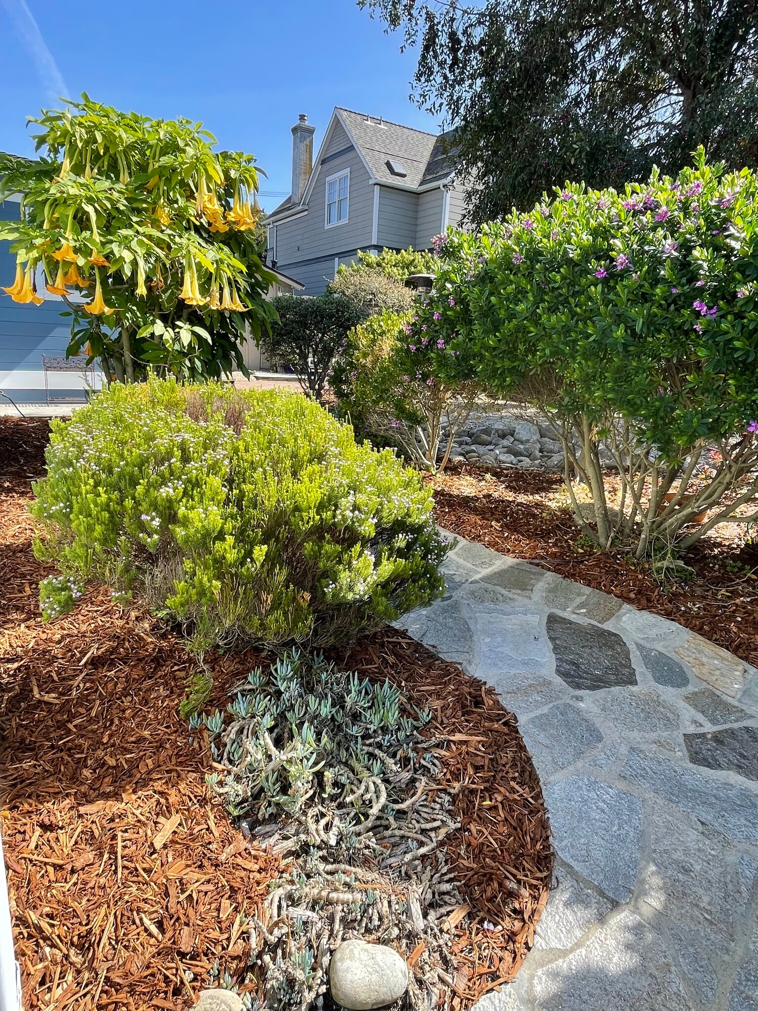 Stone walkway along side of house - 209 19th St
