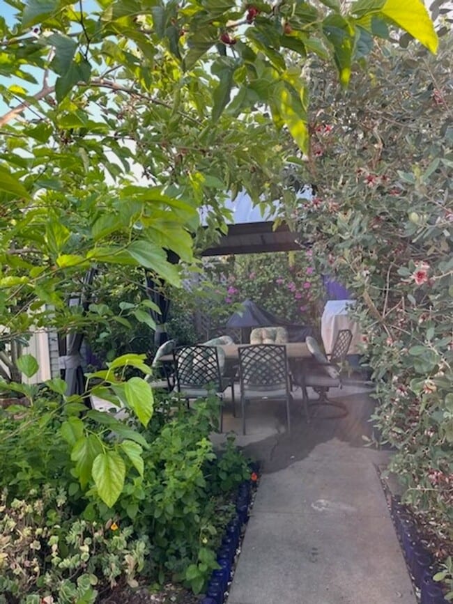 Building Photo - Fully Furnished Tranquil Downtown Home - Available Now!