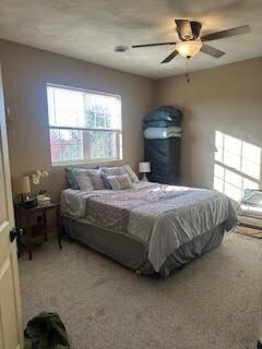 Building Photo - 623 Foxglove Ln