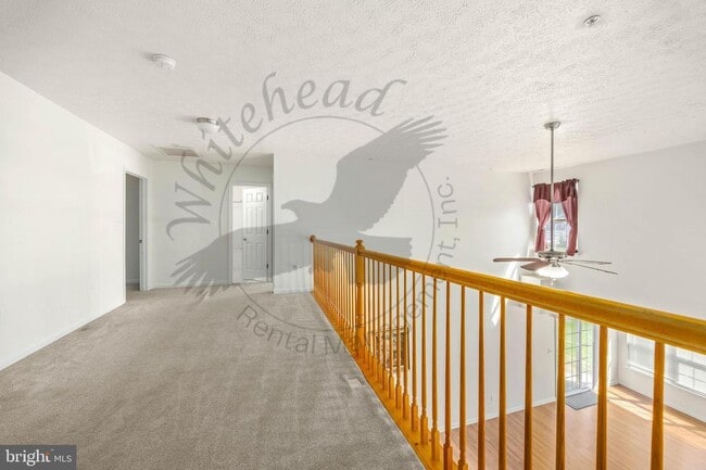 Building Photo - 9549 Wedge Way