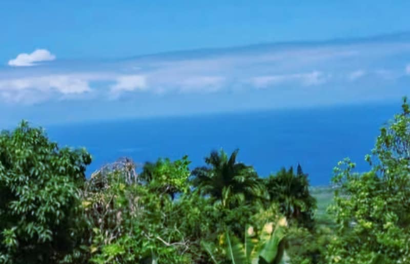 Building Photo - 84-5069-5069 Mamalahoa Hwy