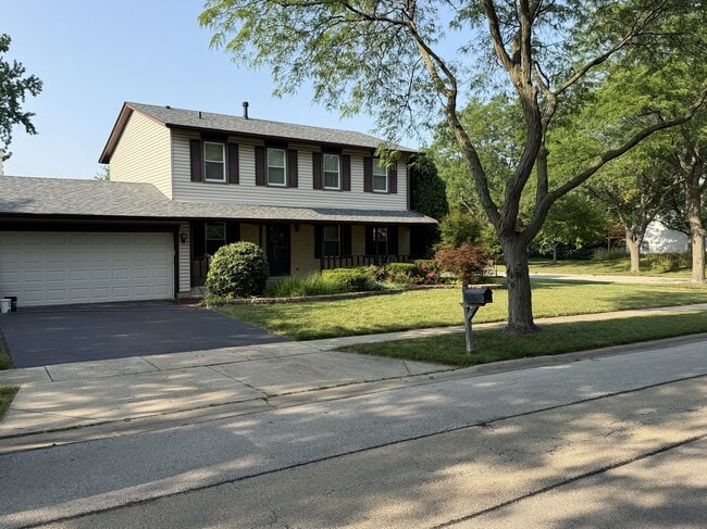 Building Photo - 361 Chicory Ln