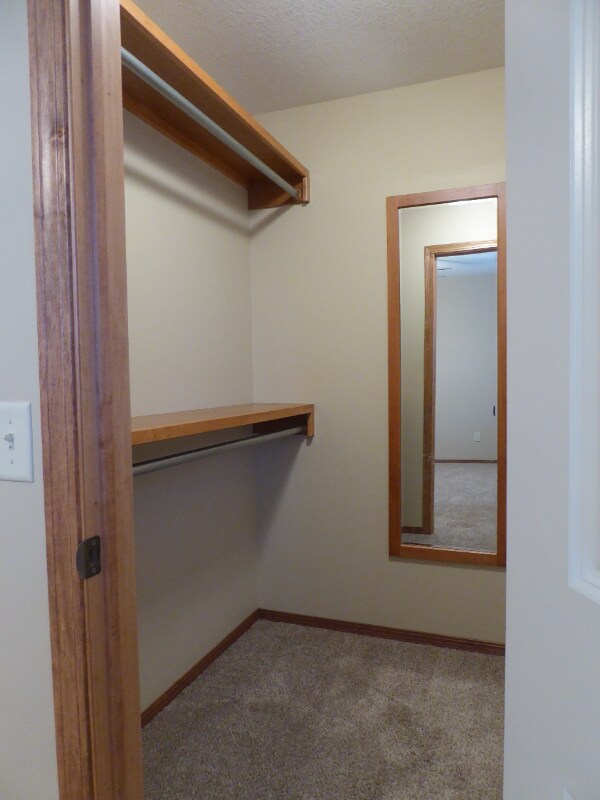 Building Photo - 3019 Cottonwood Hill Dr
