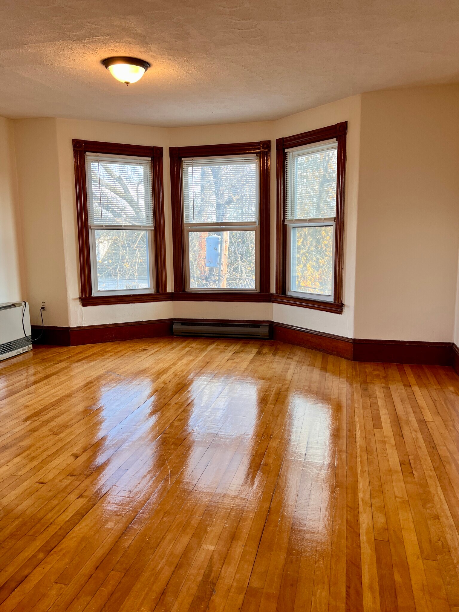 Building Photo - 94 Graham St