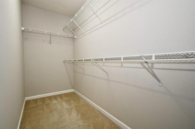 Building Photo - 3905 Timbercreek Cir