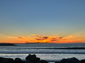 Building Photo - 1248 Marthas Vineyard Ct