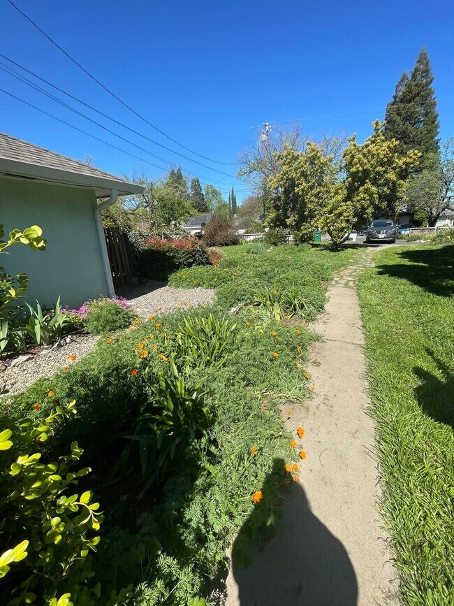 Building Photo - Available Now! Beautiful 3/1 with Large Fr...