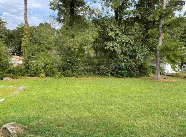 Spacious backyard - 714 Woodland Dr S