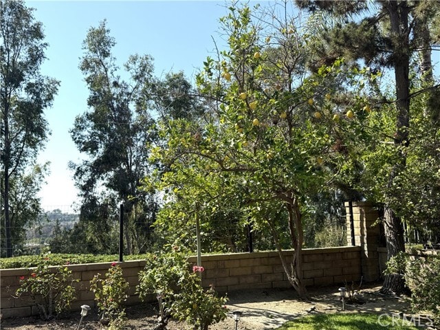Building Photo - 26924 Marbella