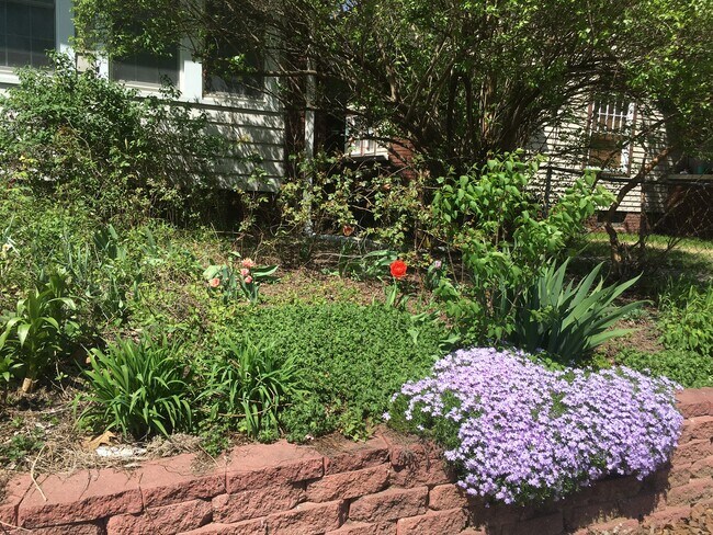 Primary Photo - 4104 N College Ave