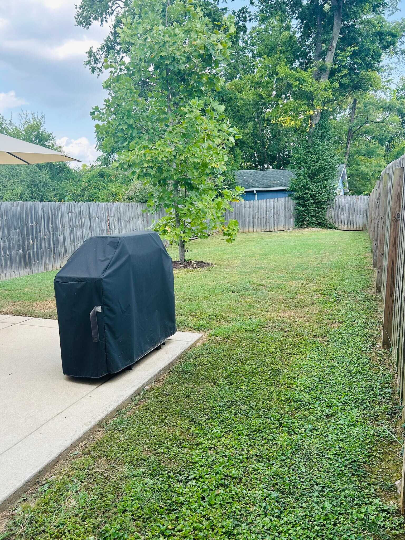 Back Patio and fenced yard - 562 Stevenson St