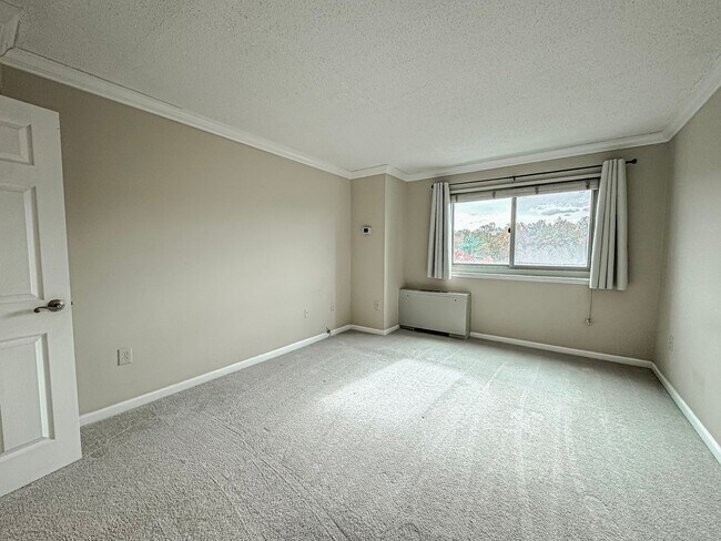 Building Photo - Bright And Spacious 1 Bed 1 Bath Condo Wit...