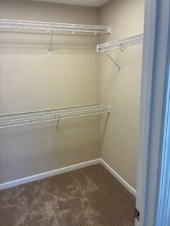 Building Photo - 4805 Poplar Crest Way