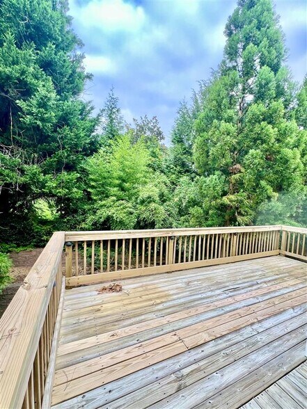 deck - 1305 Boulder Creek Rd
