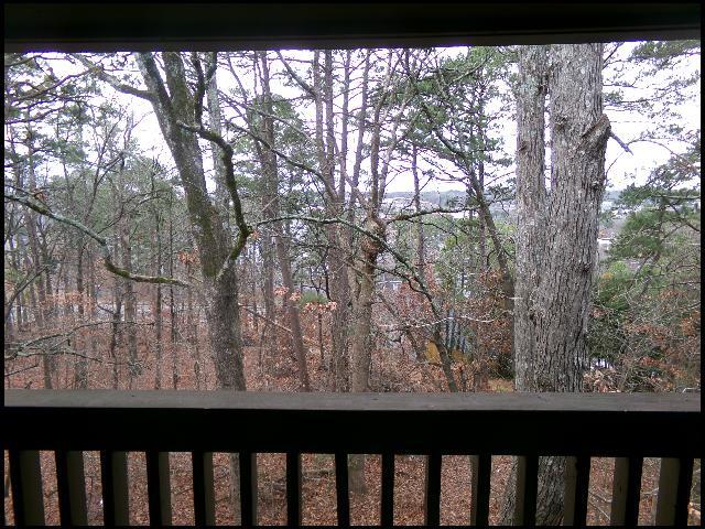 Building Photo - 508 Green Mountain Cir