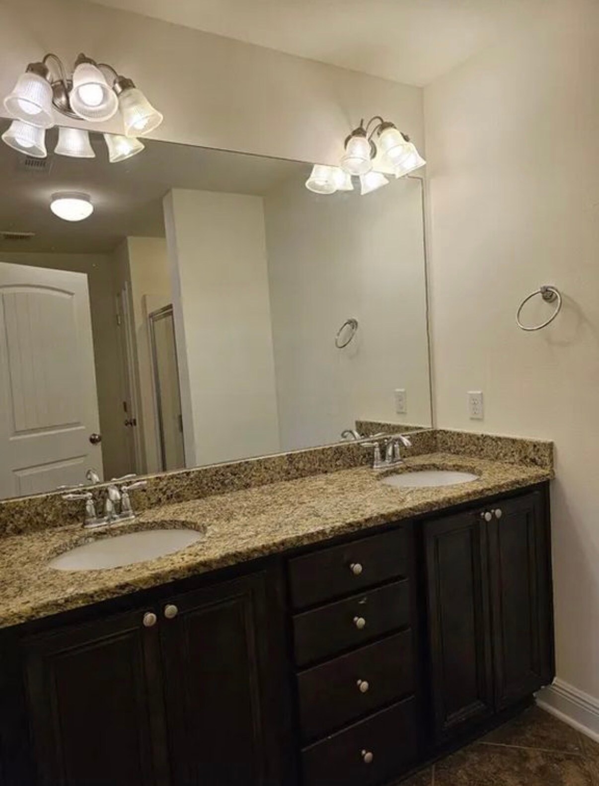 Master Bathroom - 2127 Wilsons Plover Cir