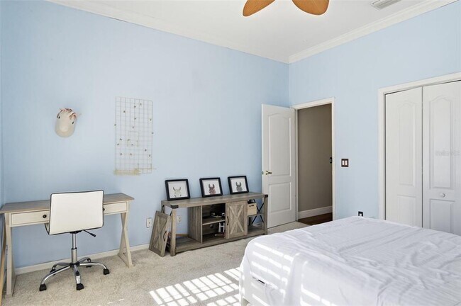 Building Photo - 909 Allegro Ln