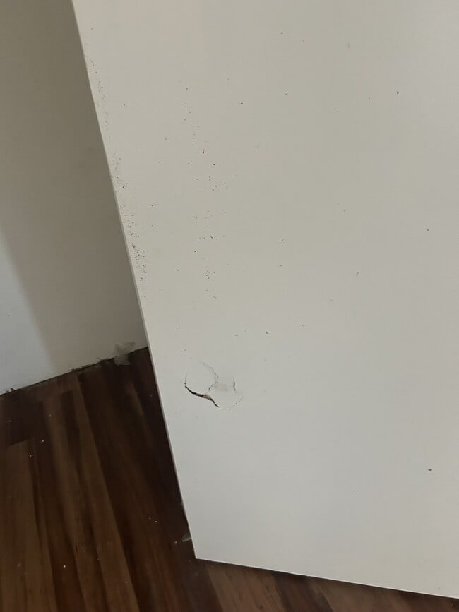 Building Photo - 1808 Colorado Ave